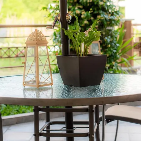 Santa Monica 特里卡拉