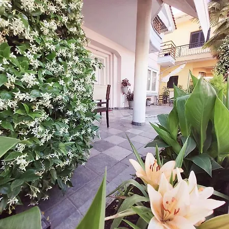 Santa Monica 特里卡拉